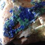 Azurita con Zincolivenita<br />Mina Aprovechado, El Pinar de Bédar, Bédar, Comarca Levante Almeriense, Almería, Andalucía, España<br />encuadre de 2,5 cm<br /> (Autor: srm13151)
