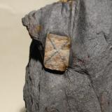 Andalucita (variedad quiastolita)<br />Cerro del Castillo de Mirabel, Mirabel, Mancomunidad Riberos del Tajo, Cáceres, Extremadura, España<br />7,5x5,5 cm<br /> (Autor: Ander Ispizua Juan)