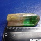 Elbaite (Tourmaline Group)<br />Russia<br /><br /> (Author: Jackman)