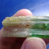 Elbaite (Tourmaline Group)<br />Russia<br /><br /> (Author: Jackman)