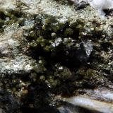 Clorita (Grupo)<br />Barranc del Cargol, Llavorsí , Comarca Pallars Sobirà, Lérida / Lleida, Cataluña / Catalunya, España<br />Encuadre 2 x 1,5 cm aprox.<br /> (Autor: heat00)