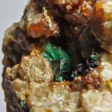 Malaquita y granate<br />Mines de Can Montsant, Can Montsant (Massís del Montnegre), Hortsavinyà, Tordera, Comarca Maresme, Barcelona, Cataluña / Catalunya, España<br />Encuadre 2 x 1,5 cm aprox.<br /> (Autor: heat00)