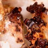 SideritaMina Regia, Bellmunt del Priorat, Comarca Priorat, Tarragona, Cataluña / Catalunya, España1 cm (Autor: Obsi)