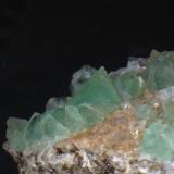 Fluorita<br />Pedrera Berta, Turó de Can Domènech, Serra de Roques Blanques, Sant Cugat del Vallès-El Papiol, Comarca Vallès Occidental / Baix Llobregat, Barcelona, Cataluña / Catalunya, España<br />2 cm<br /> (Autor: Obsi)