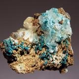 RosasiteSherman Mine, Upper Iowa Gulch, Leadville District, Lake County, Colorado, USA3.1 x 3.4 cm (Author: crosstimber)