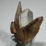 Topaz<br />Groot Spitzkopje, Spitzkopje area, Karibib District, Erongo Region, Namibia<br />50x40mm<br /> (Author: Heimo Hellwig)