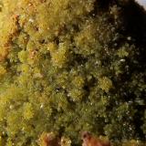 Piromorfita-Mimetita<br />Mina Atrevida, Vimbodí i Poblet, Comarca Conca de Barberà, Tarragona, Cataluña / Catalunya, España<br />Ancho de la pieza 1,8 cm<br /> (Autor: heat00)