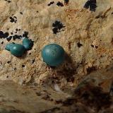 Malaquita<br />Mina Les Ferreres, Rocabruna, Camprodon, Comarca Ripollès, Gerona / Girona, Cataluña / Catalunya, España<br />Cristal de 3,5 mm<br /> (Autor: heat00)