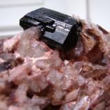 Tourmaline, Quartz, Muscovite and Microcline<br />Belvís de Monroy, Comarca Campo Arañuelo, Cáceres, Extremadura, Spain<br />Tourmaline crystal = 3 x 2 cm.<br /> (Author: ApitaAngel)