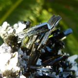 Epidota sobre cuarzo<br />Concesión Flor de Perú, Monte Ullpac, Distrito Huancano, Provincia Pisco, Departamento Ica, Perú<br />7 x 5 cm<br /> (Autor: nerofis2)