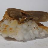 Barita y Cuarzo<br />Mines Can Palomeres, Malgrat de Mar, Comarca Maresme, Barcelona, Cataluña / Catalunya, España<br />Barita 4,4 x 1,3 cm<br /> (Autor: heat00)
