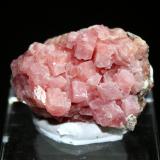 Rhodochrosite<br />Osarizawa Mine, Kazuno City, Akita Prefecture, Tohoku Region, Honshu Island, Japan<br />4.0 x 3.5 cm<br /> (Author: Don Lum)