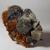Galena<br />Mina Linda Mariquita, El Molar, Comarca Priorat, Tarragona, Cataluña / Catalunya, España<br />3,7 x 2,7 x 1,6 cm<br /> (Autor: heat00)