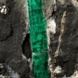 Beryl (variety emerald), Calcite, PyriteMuzo (distrito minero), Cinturón Esmeraldífero Occidental, Departamento Boyacá, Colombia64x55x65mm, xl=27mm (Author: Fiebre Verde)