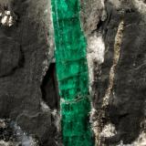 Beryl (variety emerald), Calcite, Pyrite<br />Muzo mining district, Western Emerald Belt, Boyacá Department, Colombia<br />64x55x65mm, xl=27mm<br /> (Author: Fiebre Verde)