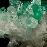 Beryl (variety emerald), Calcite, QuartzLa Pita (distrito minero), Municipio Maripí, Cinturón Esmeraldífero Occidental, Departamento Boyacá, Colombia21x35mm, cluster=20mm long (Author: Fiebre Verde)