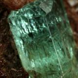Beryl (variety emerald), Calcite, PyriteChivor (distrito minero), Mina Buena Vista, Municipio Ubalá, Cinturón Esmeraldífero Oriental, Departamento Cundinamarca, Colombia30x12x42mm, main xl=13x5mm (Author: Fiebre Verde)