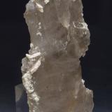 Cuarzo (variedad cuarzo ahumado) con Feldespato<br />La Roca del Vallès, Comarca Vallès Oriental, Barcelona, Cataluña / Catalunya, España<br />10.4 × 6.2 × 1.1 cm<br /> (Autor: Jordi Fabre)