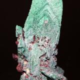 Malachite pseudomorph after Azurite<br />Sacramento Pit, Sacramento Hill, Bisbee, Warren District, Mule Mountains, Cochise County, Arizona, USA<br />5.2 x 2.6 cm<br /> (Author: Don Lum)