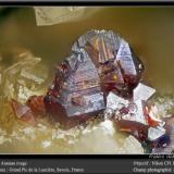 Anatase<br />Vallon de la Valette, La Lauzière Massif, Saint-Jean-de-Maurienne, Savoie, Auvergne-Rhône-Alpes, France<br />fov 1.8 mm<br /> (Author: ploum)