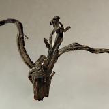 SilverYueshan, Huangtun, Lujiang, Prefectura Hefei, Provincia Anhui, China2.3 x 3.2 cm (Author: crosstimber)
