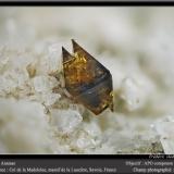 Anatase<br />Col de la Madeleine, La Lauzière Massif, Saint-Jean-de-Maurienne, Savoie, Auvergne-Rhône-Alpes, France<br />fov 3 mm<br /> (Author: ploum)