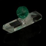 Beryl (variety emerald), Quartz<br />Muzo mining district, Western Emerald Belt, Boyacá Department, Colombia<br />Beryl=9mm  Quartz=13mm<br /> (Author: Fiebre Verde)