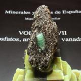 Berilo (variedad esmeralda)<br />Yacimiento de Esmeraldas, A Franqueira, A Cañiza, Comarca Paradanta, Pontevedra, Galicia / Galiza, España<br />30x60 mm<br /> (Autor: Ignacio)
