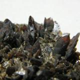 Descloizite<br />Berg Aukas, Grootfontein District, Otjozondjupa Region, Namibia<br />55x50mm<br /> (Author: Heimo Hellwig)