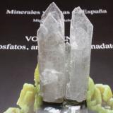 Celestina<br />México<br />15x70 mm<br /> (Autor: Ignacio)