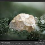 Titanite with Chlorite<br />Aiguille de Talèfre, Mont Blanc Massif, Chamonix, Haute-Savoie, Auvergne-Rhône-Alpes, France<br />fov 1.8 mm<br /> (Author: ploum)