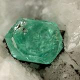 Beryl (variety emerald), Calcite, PyriteMuzo (distrito minero), Cinturón Esmeraldífero Occidental, Departamento Boyacá, Colombia65x49x45mm, xl=8x6mm (Author: Fiebre Verde)