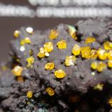 WulfenitaMina Whim Creek Copper, Arroyo Whim, Condado Roebourne, Australia Occidental, Australia55x30 mm (Autor: Ignacio)