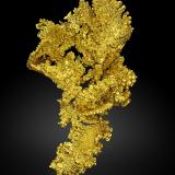 Gold<br />Mockingbird Mine, Colorado area, Whitlock District, Mother Lode Belt, Mariposa County, California, USA<br />14,0 x 11,0 x 12,5 cm<br /> (Author: MIM Museum)