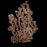 Luanheite<br />Los Bordos Mine, Elisa de Bordos mining area, Pabellón, Copiapó Province, Atacama Region, Chile<br />11,0	x	8,5	x	1,5	cm<br /> (Author: MIM Museum)
