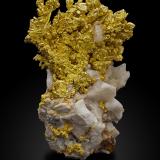 Gold on Quartz<br />Mockingbird Mine, Colorado area, Whitlock District, Mother Lode Belt, Mariposa County, California, USA<br />7,5	x	6,5	x	11,0	cm<br /> (Author: MIM Museum)
