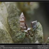 Anatase on QuartzVallon de la Valette, Macizo La Lauzière, Saint-Jean-de-Maurienne, Saboya, Auvergne-Rhône-Alpes, Franciafov 4.5 mm (Author: ploum)