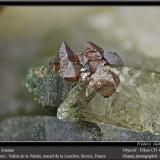 Anatase on QuartzVallon de la Valette, Macizo La Lauzière, Saint-Jean-de-Maurienne, Saboya, Auvergne-Rhône-Alpes, Franciafov 4 mm (Author: ploum)