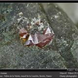 Anatase on QuartzVallon de la Valette, Macizo La Lauzière, Saint-Jean-de-Maurienne, Saboya, Auvergne-Rhône-Alpes, Franciafov 4.5 mm (Author: ploum)