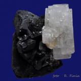 Berilo (variedad goshenita) y Chorlo<br />Monte Erongo, Usakos, Región Erongo, Namibia<br />4 X 4 X 4  cm<br /> (Autor: Ricardo Fimia)