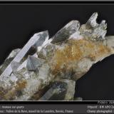 Anatase on Quartz<br />Vallon de la Rave, La Lauzière Massif, Saint-Jean-de-Maurienne, Savoie, Auvergne-Rhône-Alpes, France<br />fov 9 mm<br /> (Author: ploum)