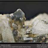 Anatase on QuartzVallon de la Rave, Macizo La Lauzière, Saint-Jean-de-Maurienne, Saboya, Auvergne-Rhône-Alpes, Franciafov 9 mm (Author: ploum)