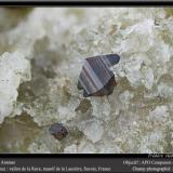 Anatase on QuartzVallon de la Rave, Macizo La Lauzière, Saint-Jean-de-Maurienne, Saboya, Auvergne-Rhône-Alpes, Franciafov 3 mm (Author: ploum)