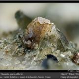 Monazite, Quartz and Chlorite<br />Vallon de la Rave, La Lauzière Massif, Saint-Jean-de-Maurienne, Savoie, Auvergne-Rhône-Alpes, France<br />fov 4.5 mm<br /> (Author: ploum)