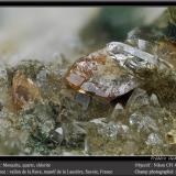 Monazite, Quartz and ChloriteVallon de la Rave, Macizo La Lauzière, Saint-Jean-de-Maurienne, Saboya, Auvergne-Rhône-Alpes, Franciafov 4.5 mm (Author: ploum)