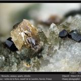 Monazite, Anatase, Quartz and ChloriteVallon de la Rave, Macizo La Lauzière, Saint-Jean-de-Maurienne, Saboya, Auvergne-Rhône-Alpes, Franciafov 4.5 mm (Author: ploum)