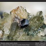 Monazite, Anatase, Quartz and Chlorite<br />Vallon de la Rave, La Lauzière Massif, Saint-Jean-de-Maurienne, Savoie, Auvergne-Rhône-Alpes, France<br />fov 4.5 mm<br /> (Author: ploum)