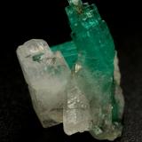 Beryl (variety emerald)<br />Coscuez mining district, Municipio San Pablo de Borbur, Western Emerald Belt, Boyacá Department, Colombia<br />xls=12mm (aggregate) <br /> (Author: Fiebre Verde)