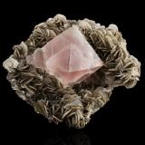 Fluorite on Muscovite<br />Chumar Bakhoor, Hunza Valley, Nagar District, Gilgit-Baltistan (Northern Areas), Pakistan<br />14,0 	x	12,0	x	9,0	cm<br /> (Author: MIM Museum)