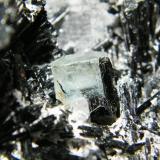 Schorl and Beryl (variety aquamarine)Monte Erongo, Usakos, Región Erongo, Namibia200x130x120mm (Author: Heimo Hellwig)